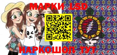 гашик Кимры