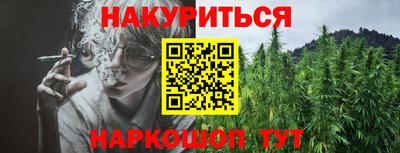 гашик Кимры