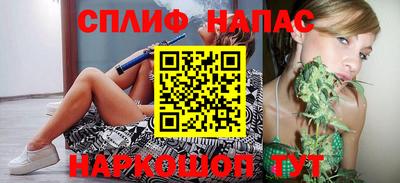 прущие грибы Кингисепп