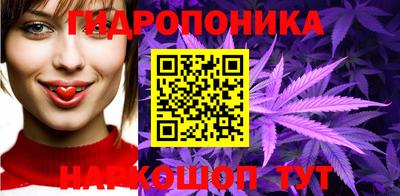 гашик Кимры