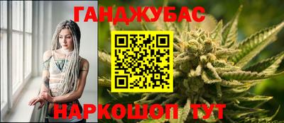 прущие грибы Кингисепп
