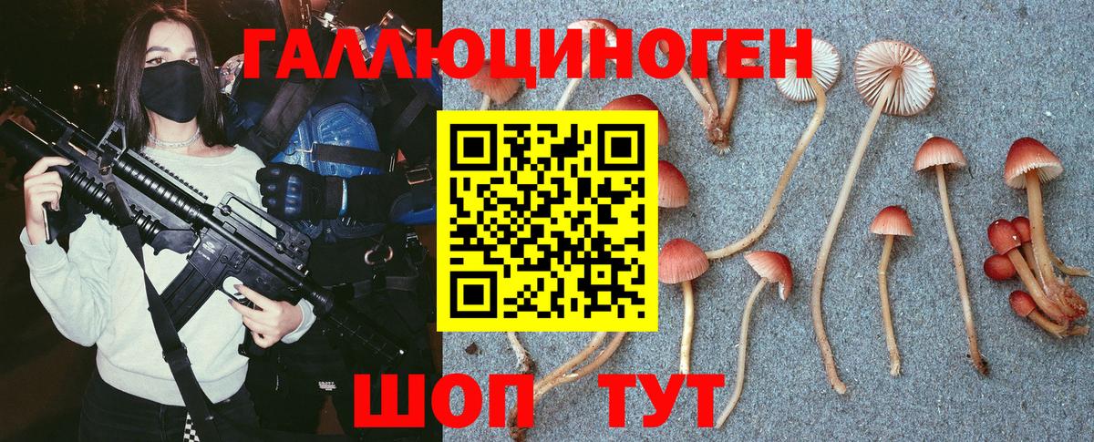 Долгопрудный  Псилоцибиновые грибы Magic Shrooms  Вход с VPN  Галлюциногенные грибы Cubensis 